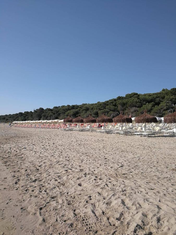 Alloggio Vista Mare - Parcheggio Gratis Pineto Exterior photo